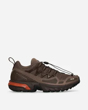 ACS   OG Sneakers Fer / Fougère / Automne