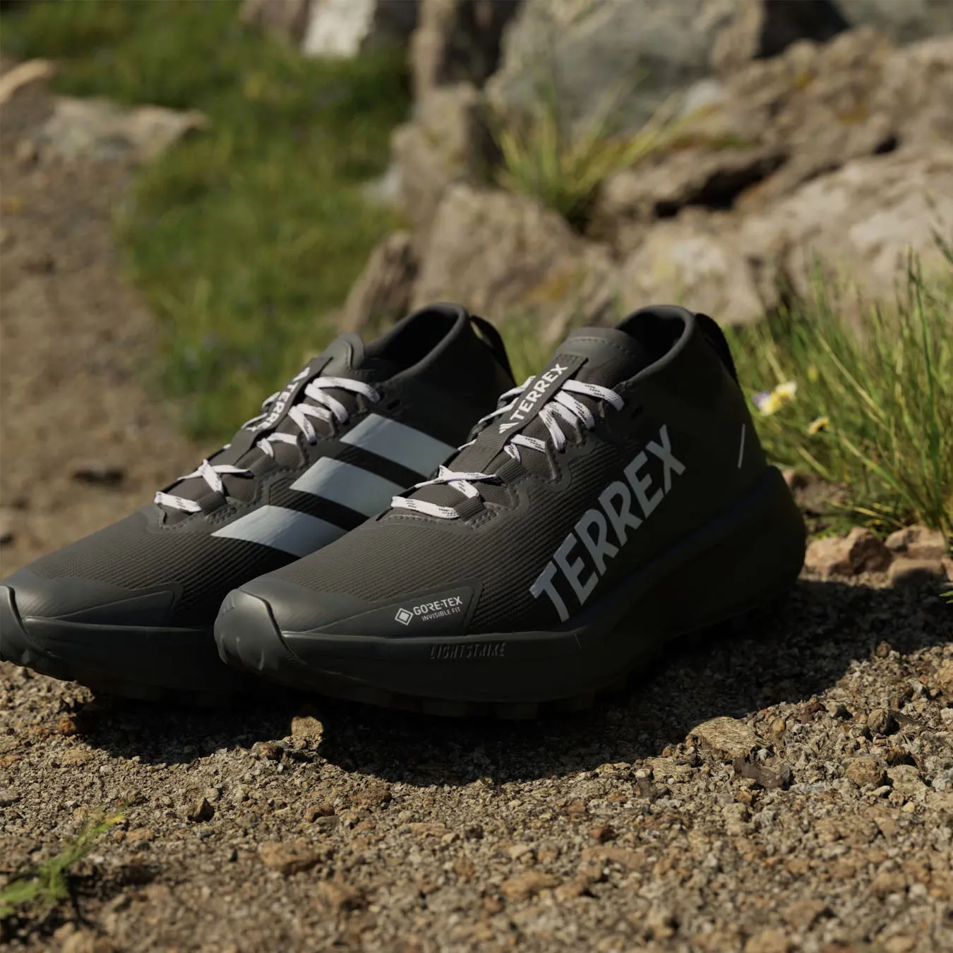 Adidas Terrex Chaussures de trail pour femmes Terrex Agravic GTX Noir