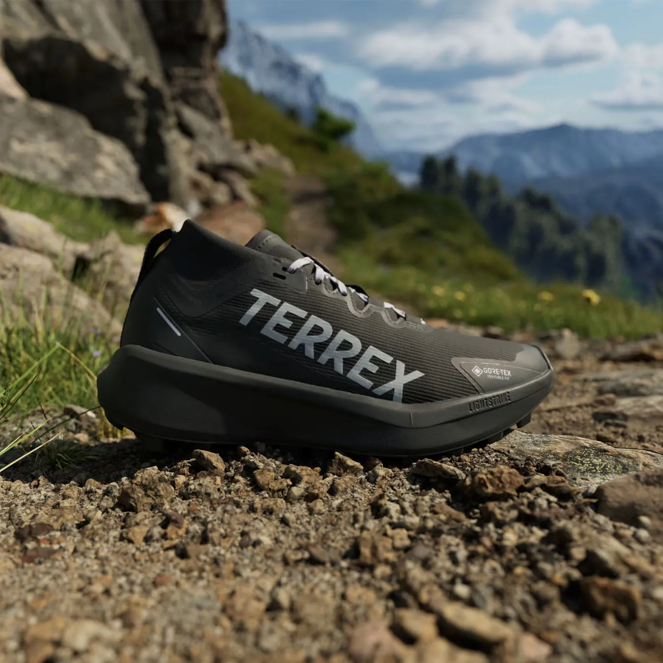 Adidas Terrex Chaussures de trail pour femmes Terrex Agravic GTX Noir
