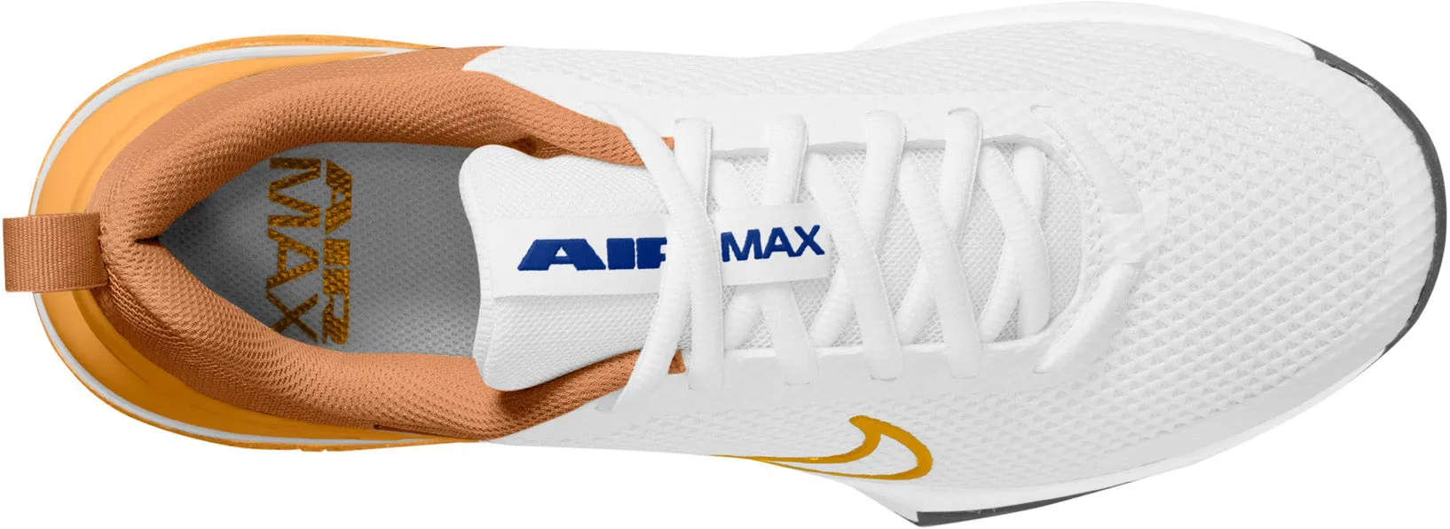 Chaussures de sport Air Max ALPHA TRAINER 6 pour homme