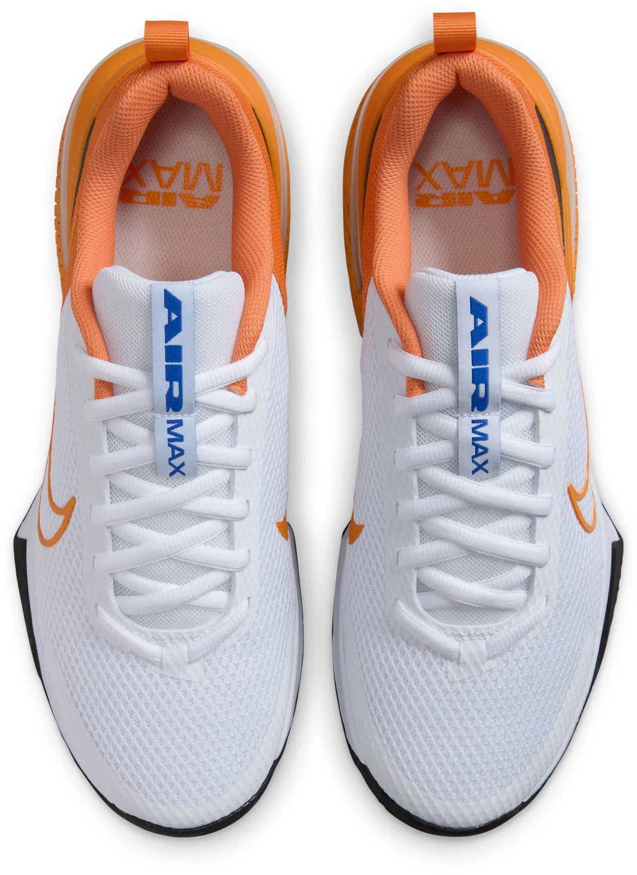 Chaussures de sport Air Max ALPHA TRAINER 6 pour homme