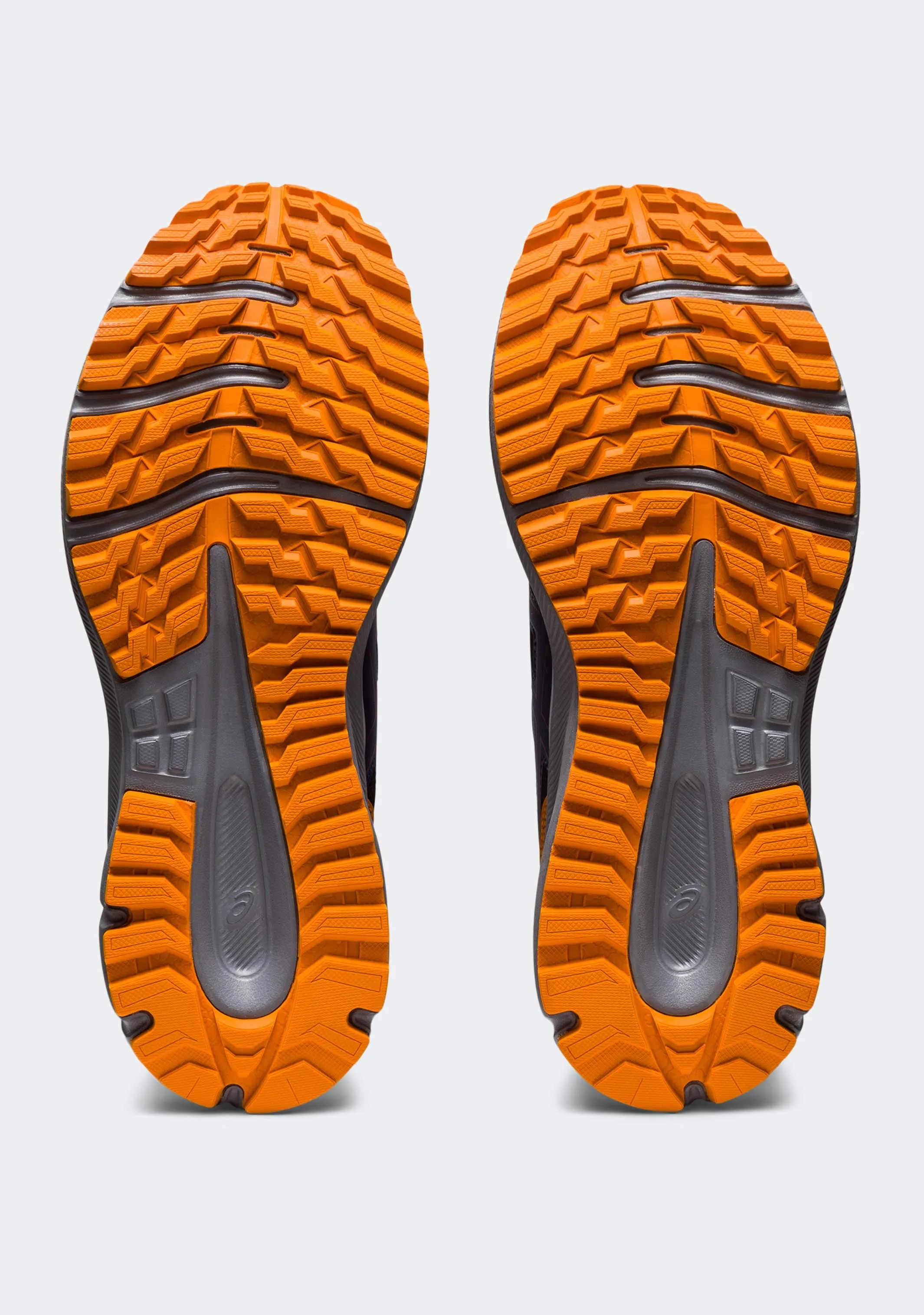 Chaussures Asics Trail Scout 3 pour Homme