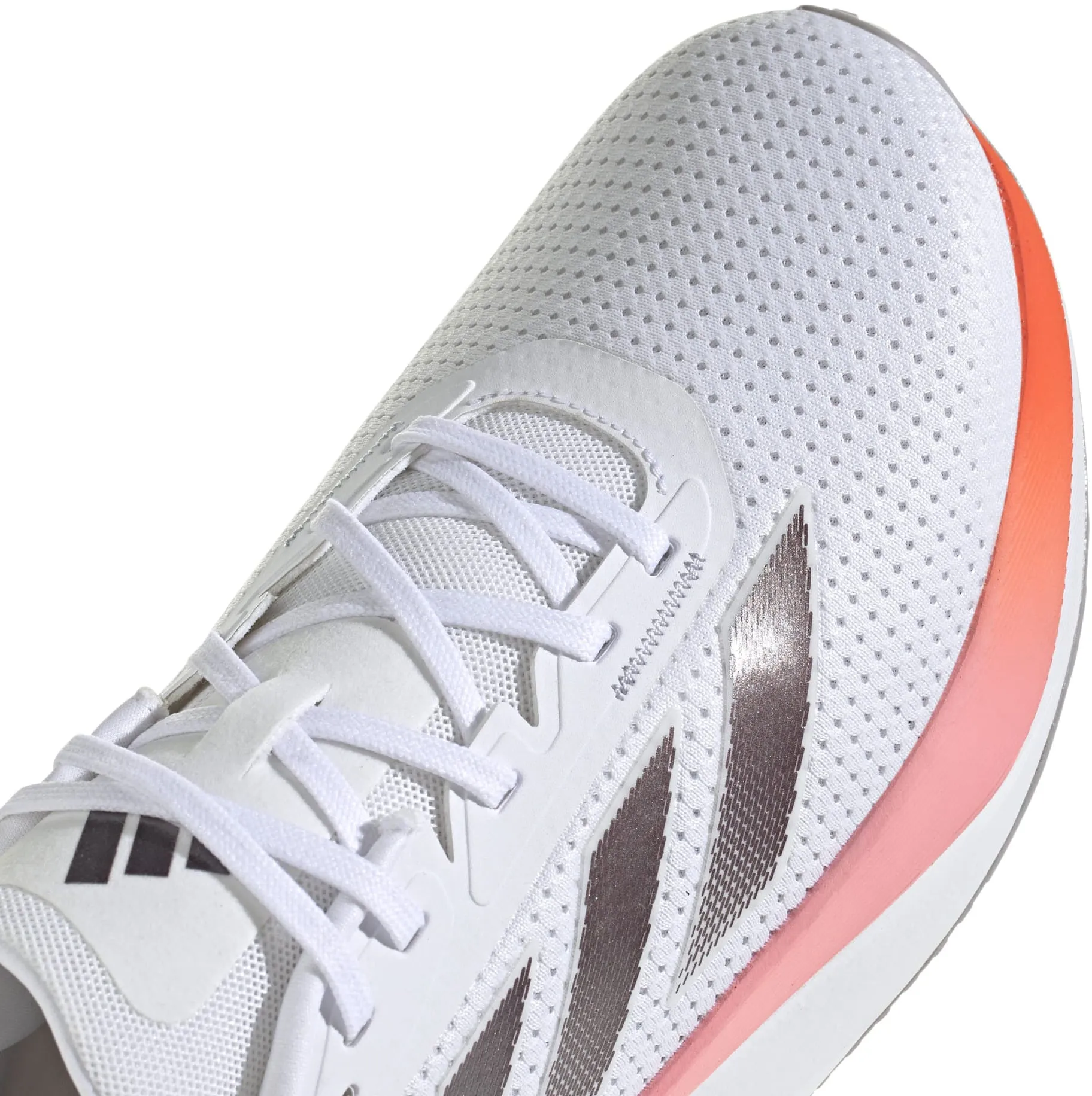 Chaussures de course Duramo SL pour Homme