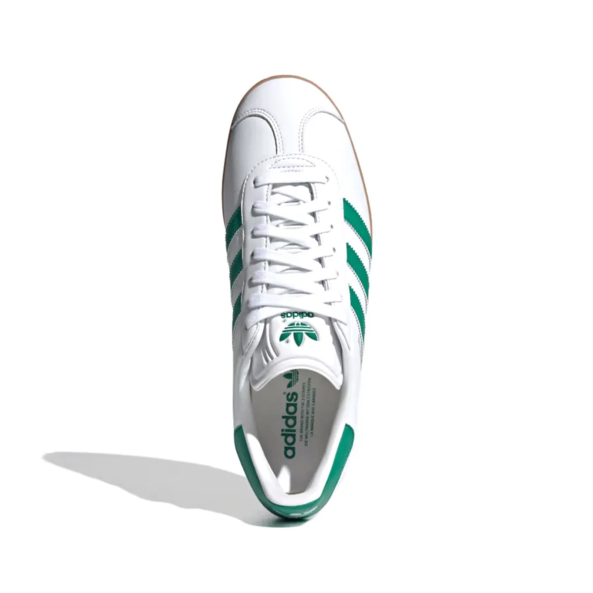 Gazelle 'Blanc Nuage Vert Audacieux'