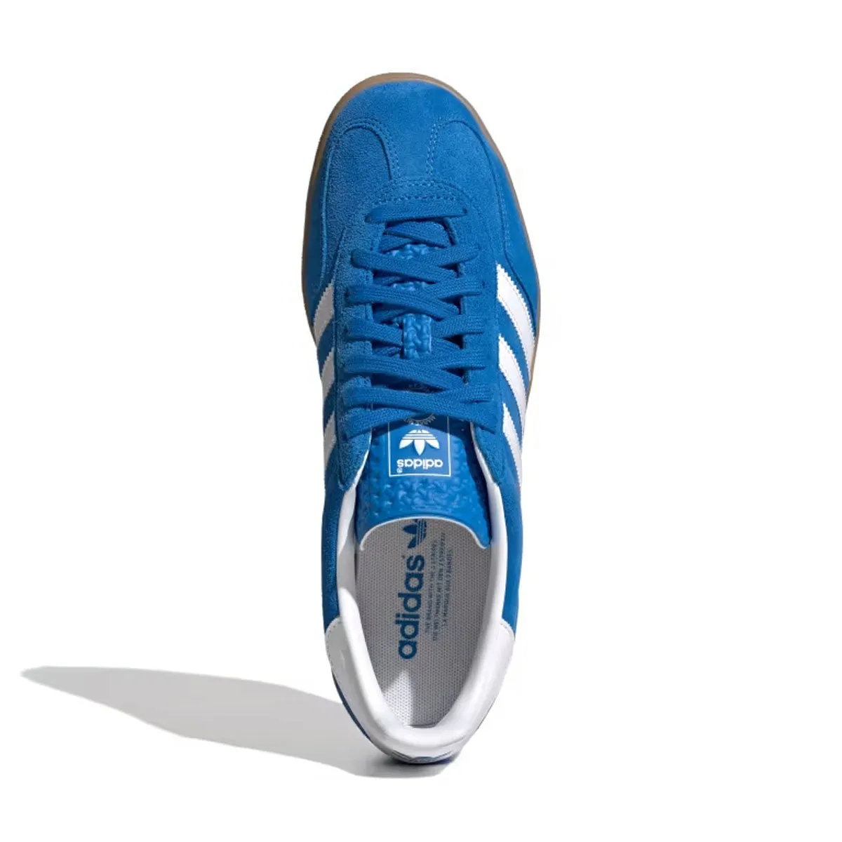 Gazelle Indoor 'Oiseau Bleu'