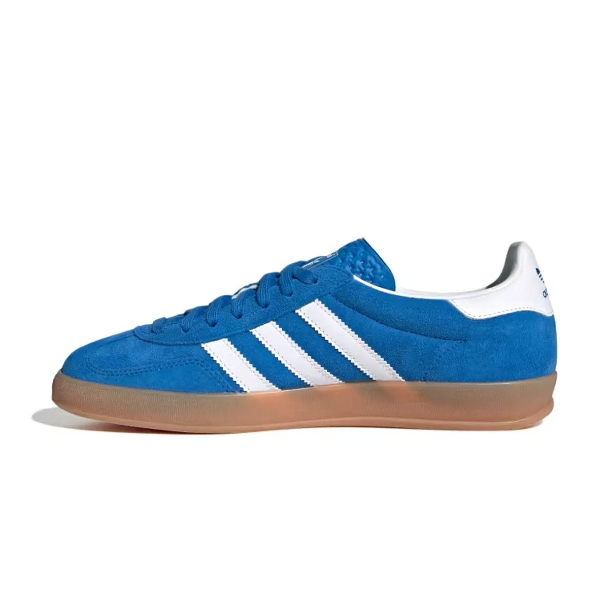 Gazelle Indoor 'Oiseau Bleu'