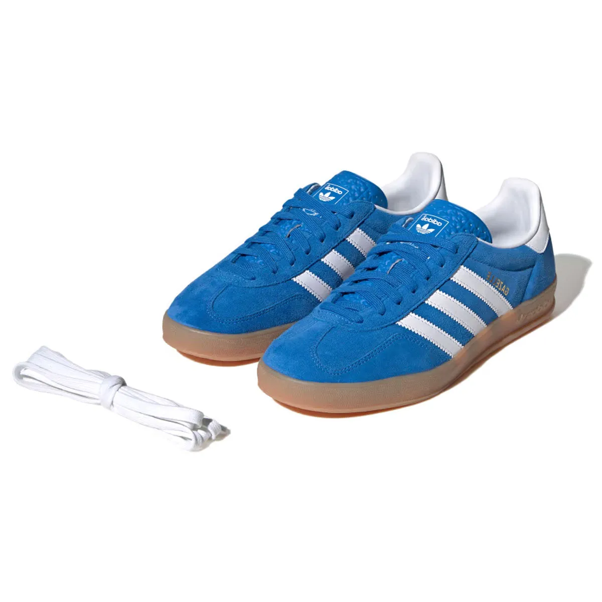 Gazelle Indoor 'Oiseau Bleu'