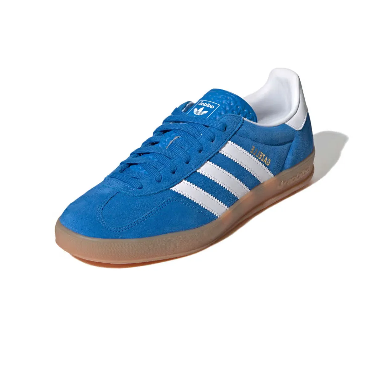 Gazelle Indoor 'Oiseau Bleu'