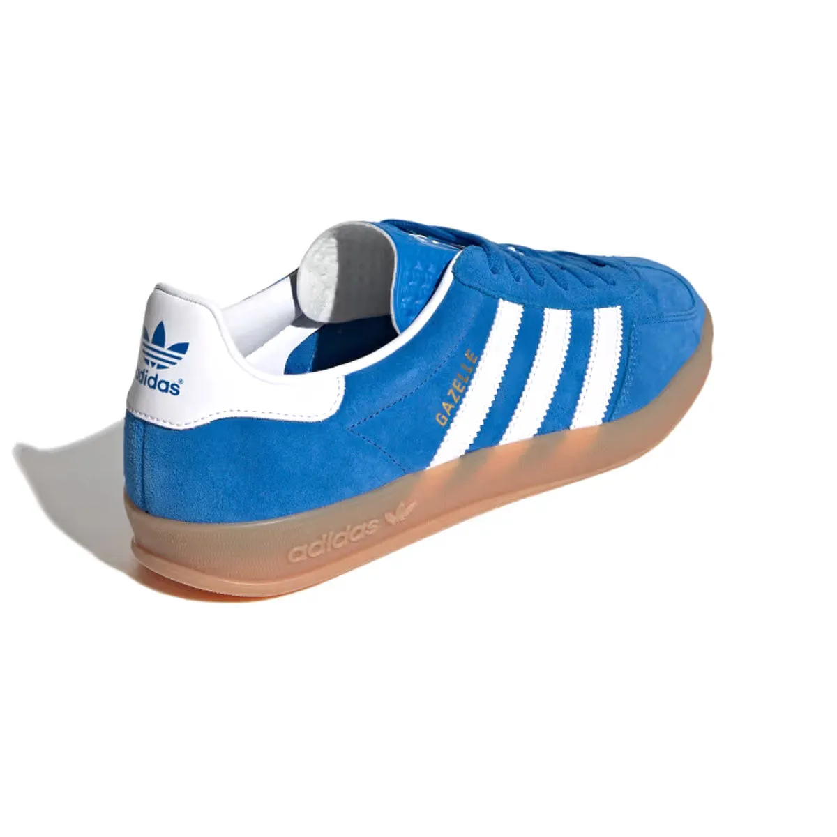 Gazelle Indoor 'Oiseau Bleu'