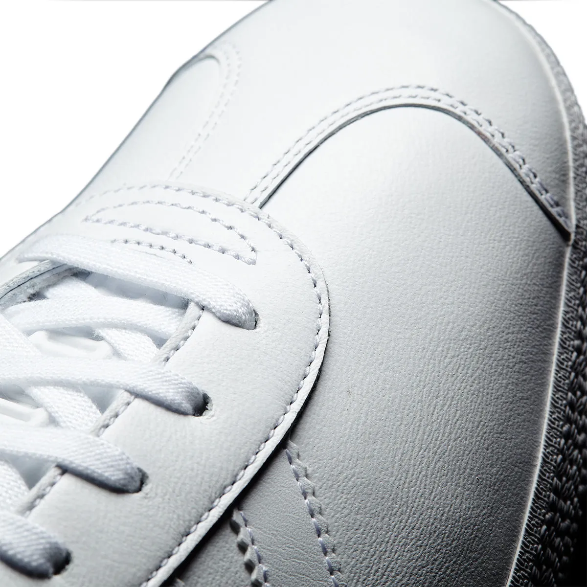 Gazelle 'Blanc'