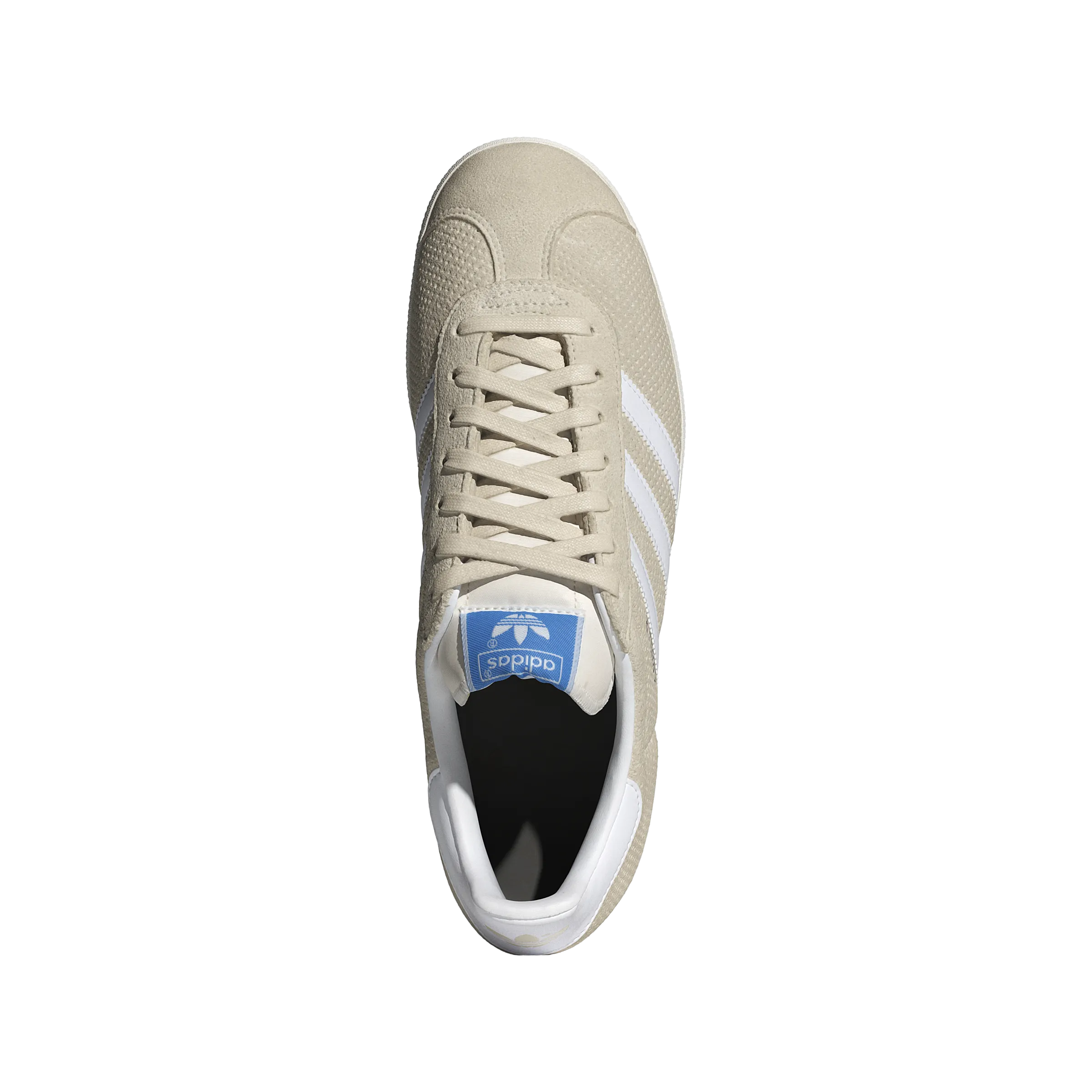 Gazelle 'Blanc Merveilleux'