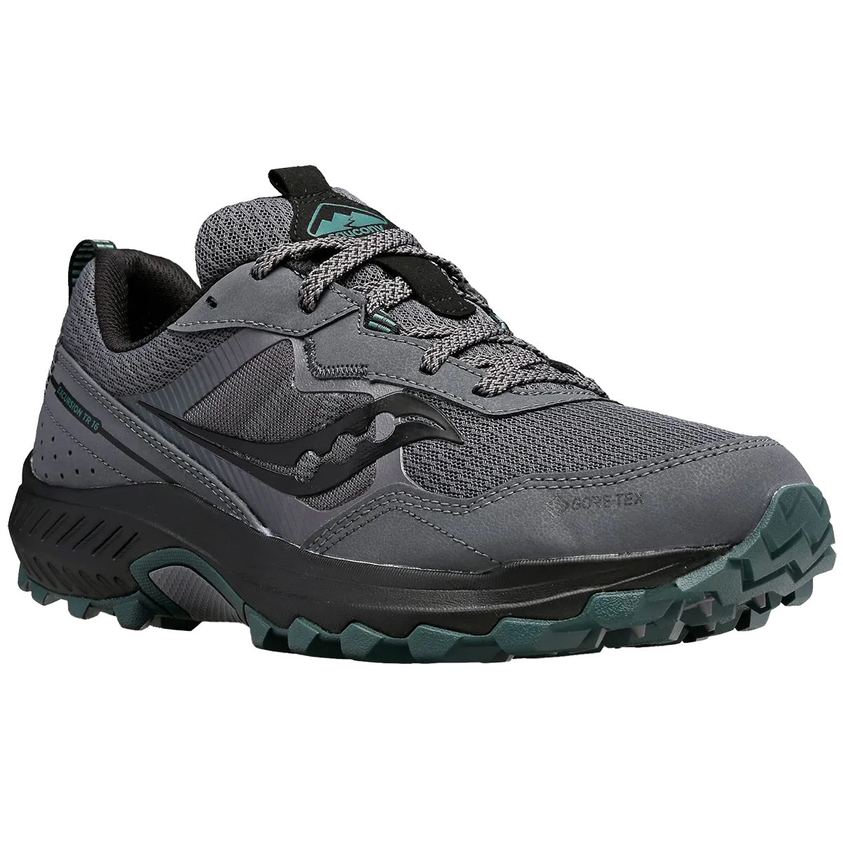 Excursion TR16 GTX pour Homme