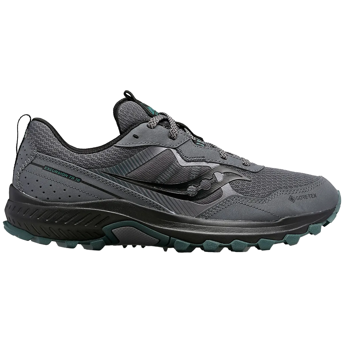 Excursion TR16 GTX pour Homme
