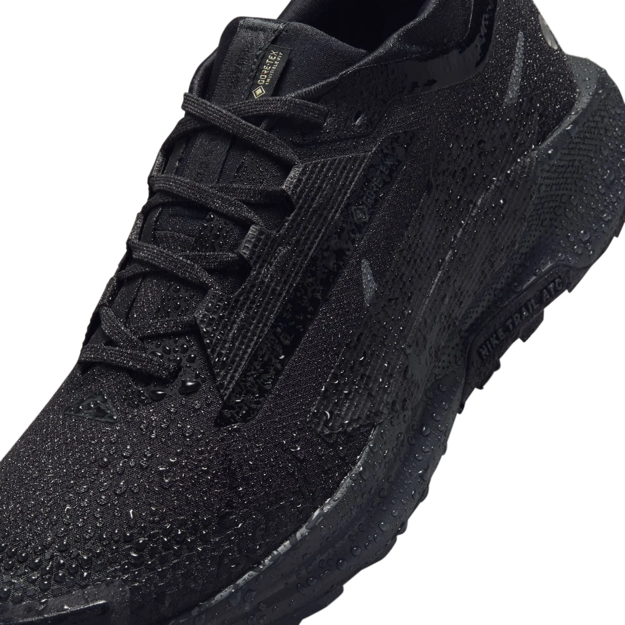 Pegasus Trail 5 GTX - Pour Homme