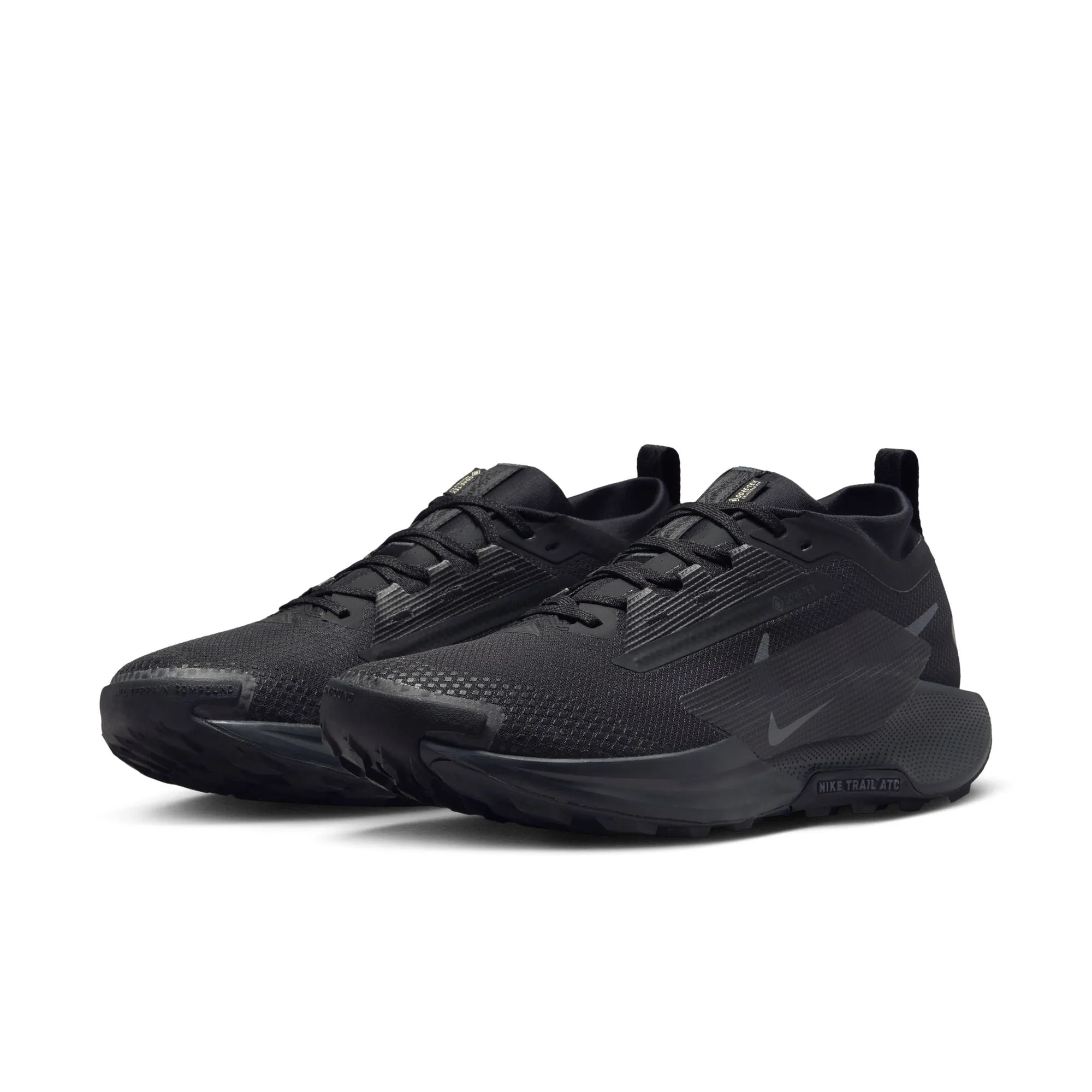 Pegasus Trail 5 GTX - Pour Homme