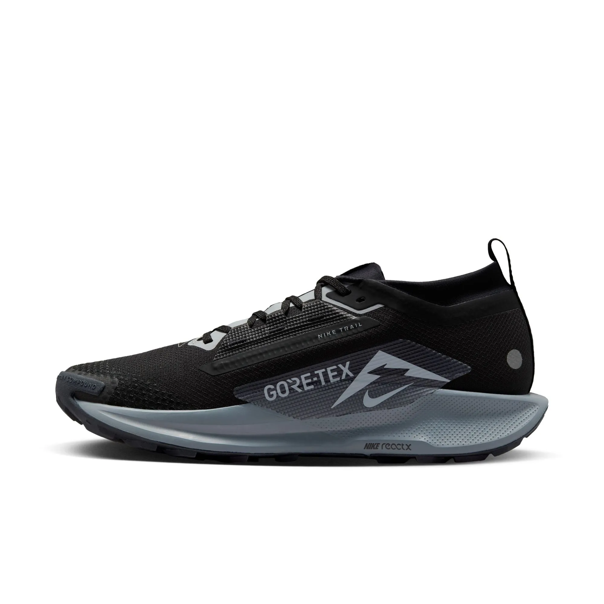 Pegasus Trail 5 GTX - Homme