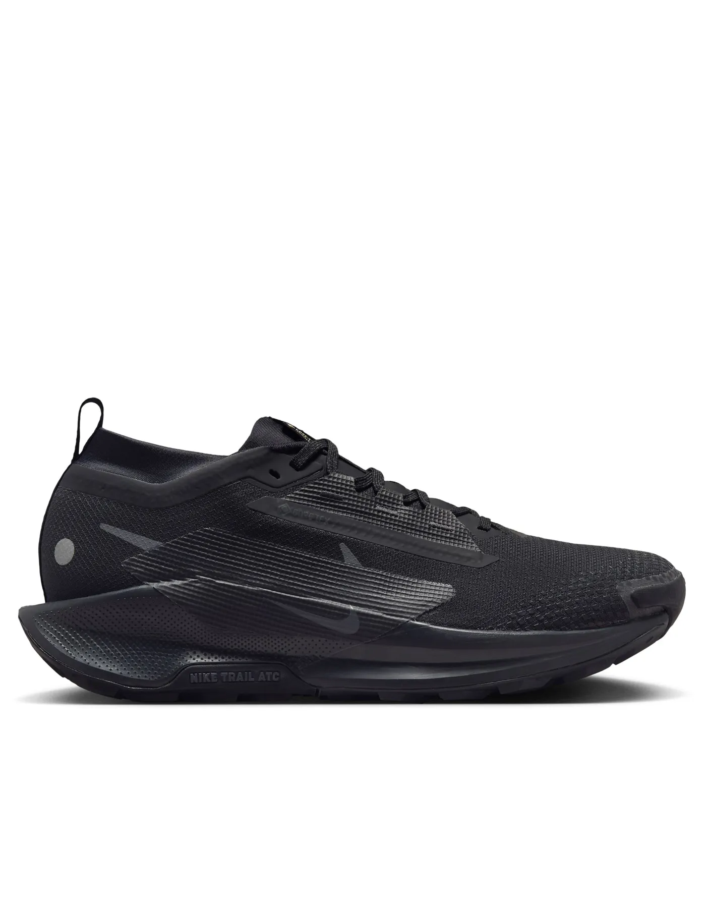 Pegasus Trail 5 GTX - Pour Homme