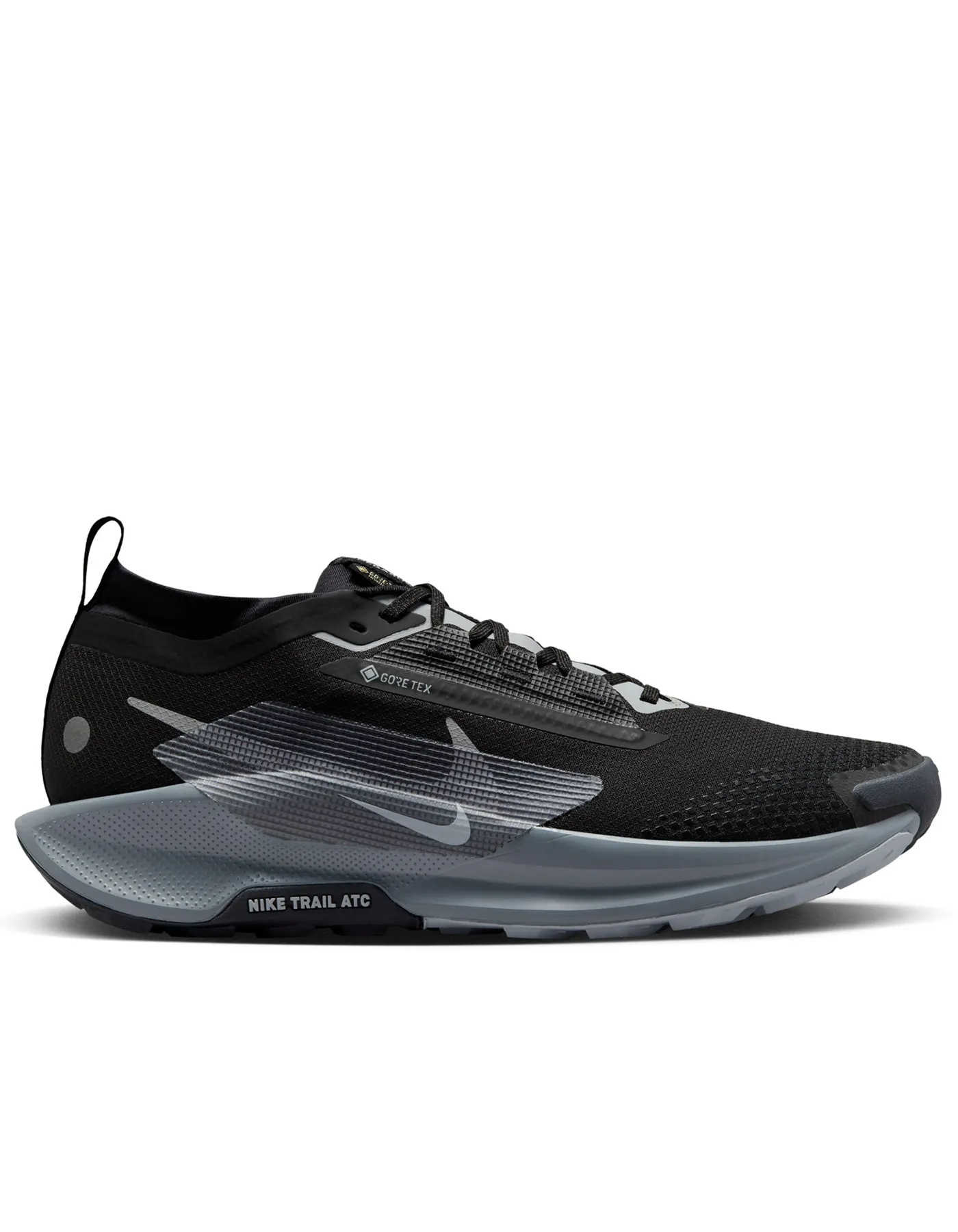 Pegasus Trail 5 GTX - Homme