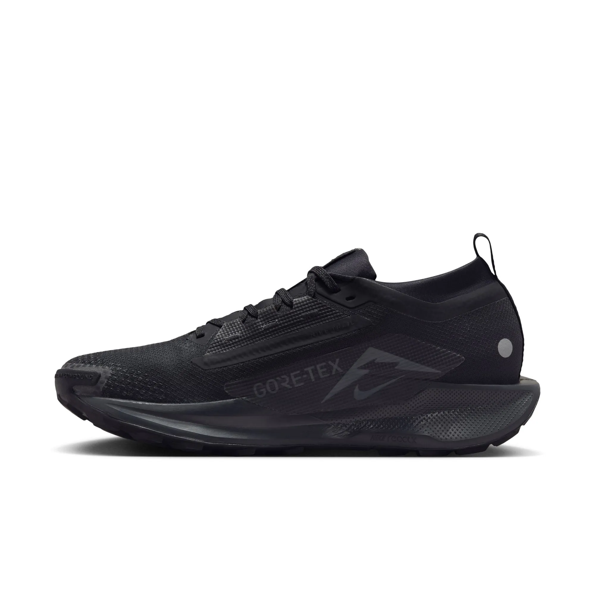Pegasus Trail 5 GTX - Pour Homme