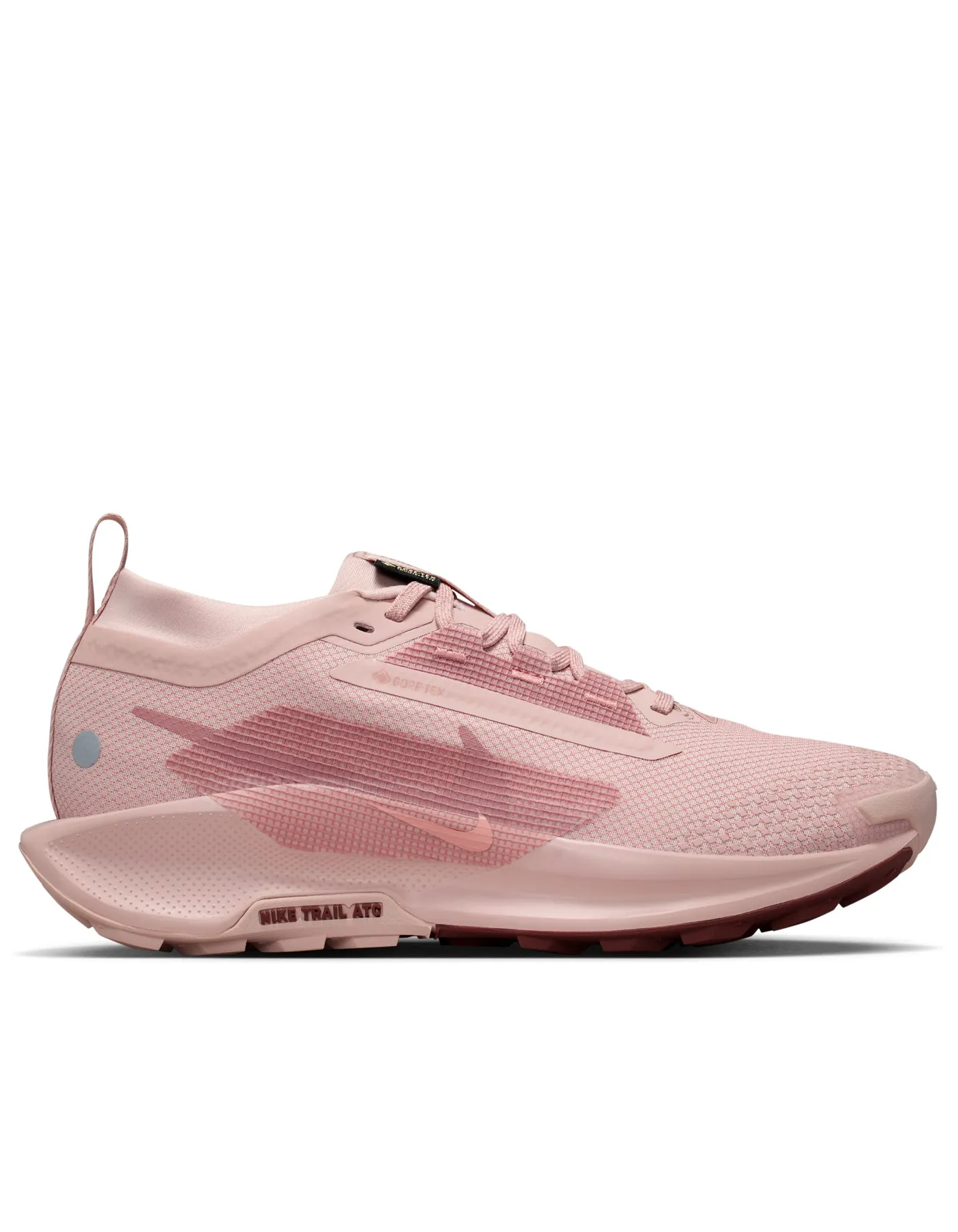 Pegasus Trail 5 GTX - Femme