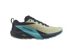 Salomon Sense Ride 5 pour Homme