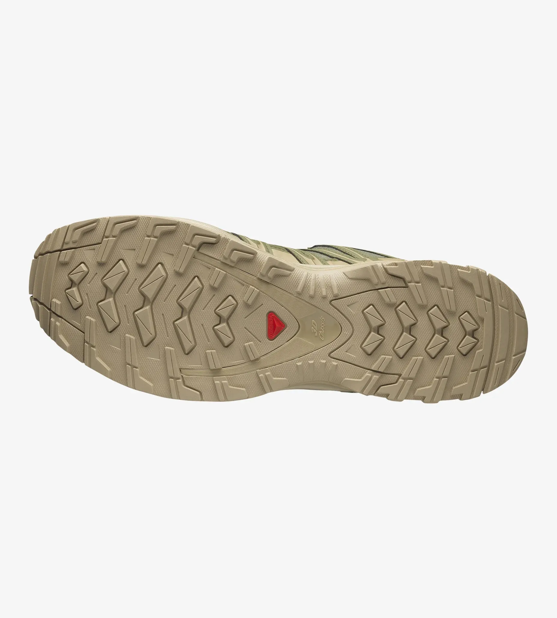 Salomon XA Pro 3D GTX - Vert Lichen Profond/Poivre Blanc/Nuage Argenté