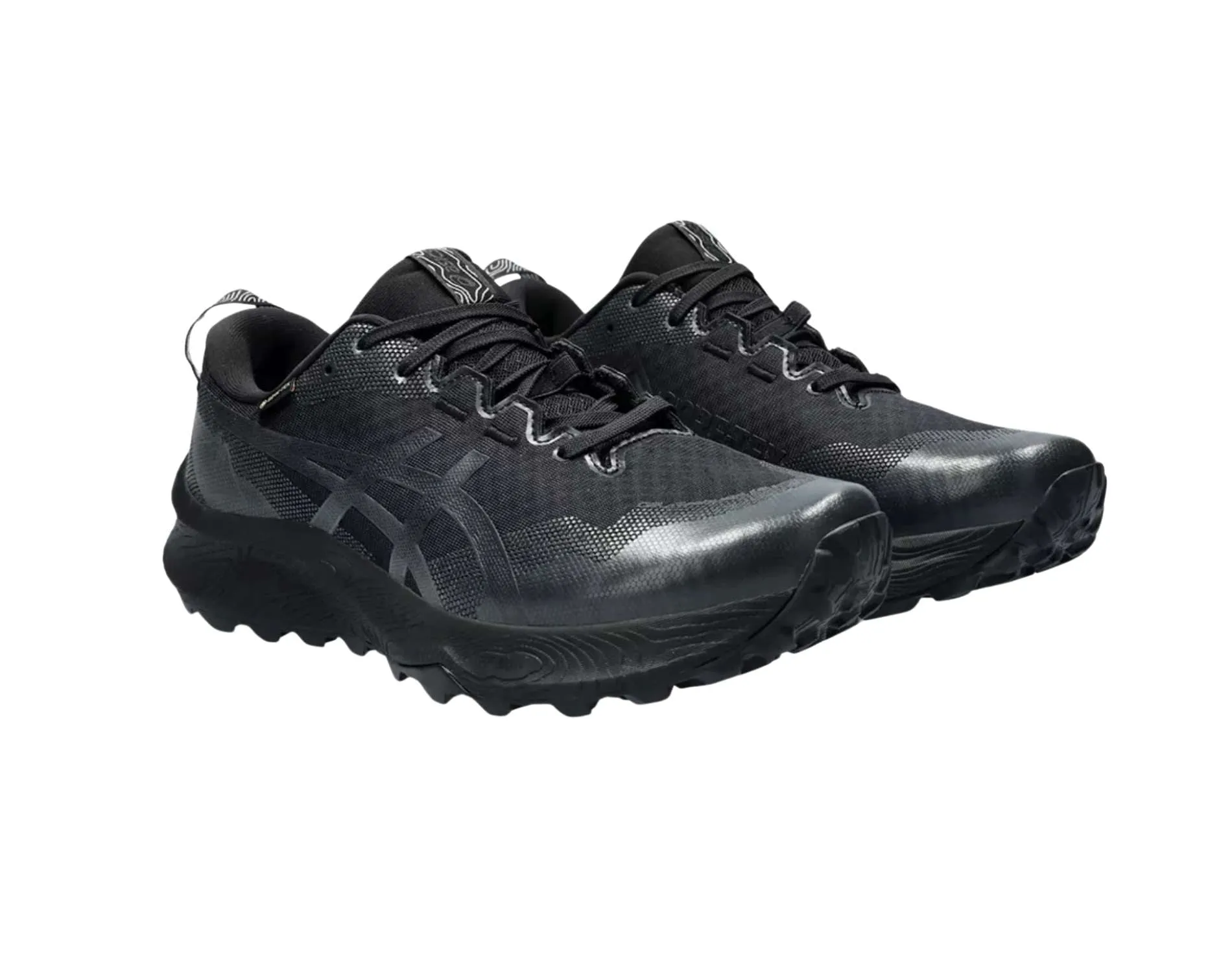 Chaussures Asics Asics Gel-Trabuco 12 GTX Femmes