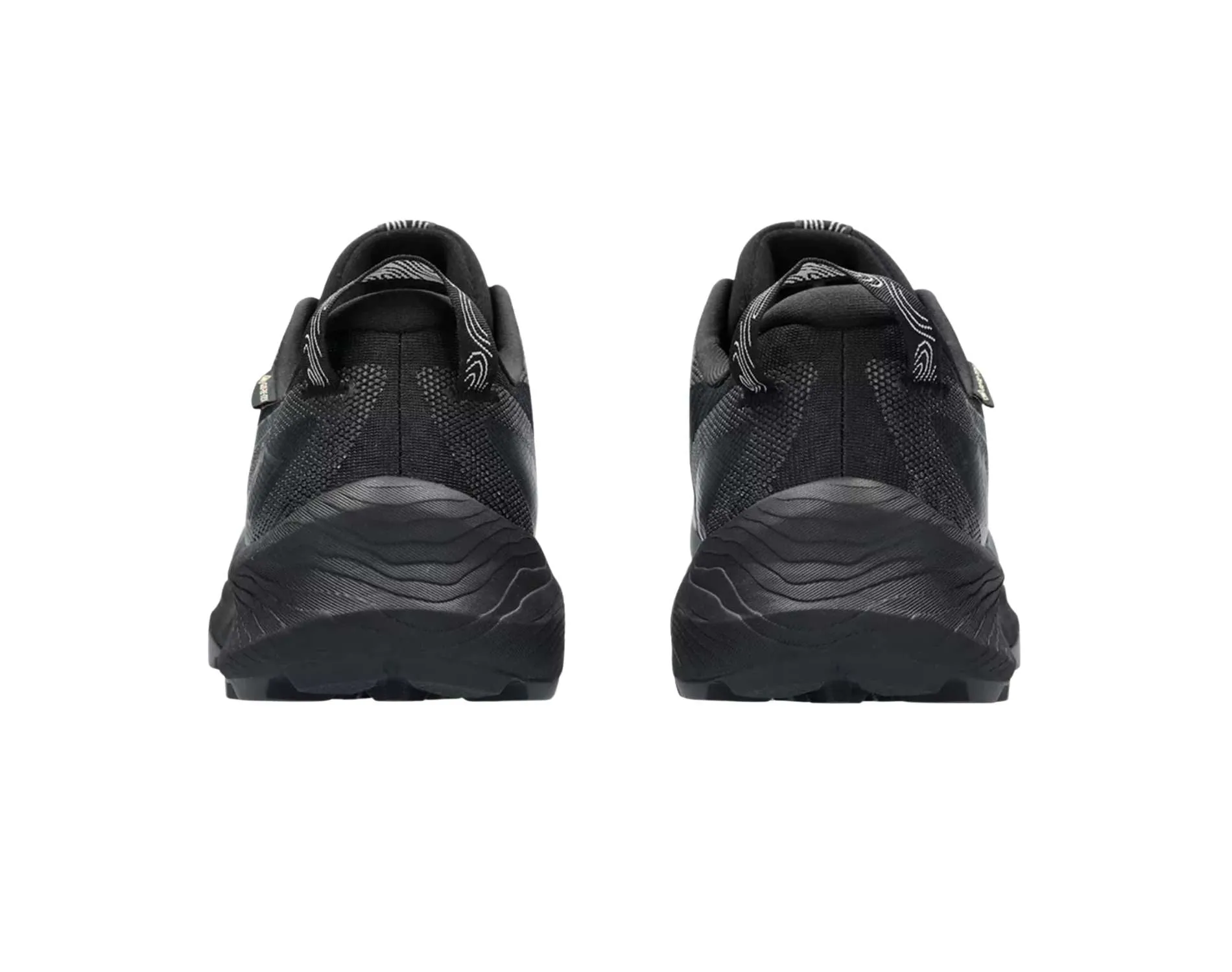 Chaussures Asics Asics Gel-Trabuco 12 GTX Femmes