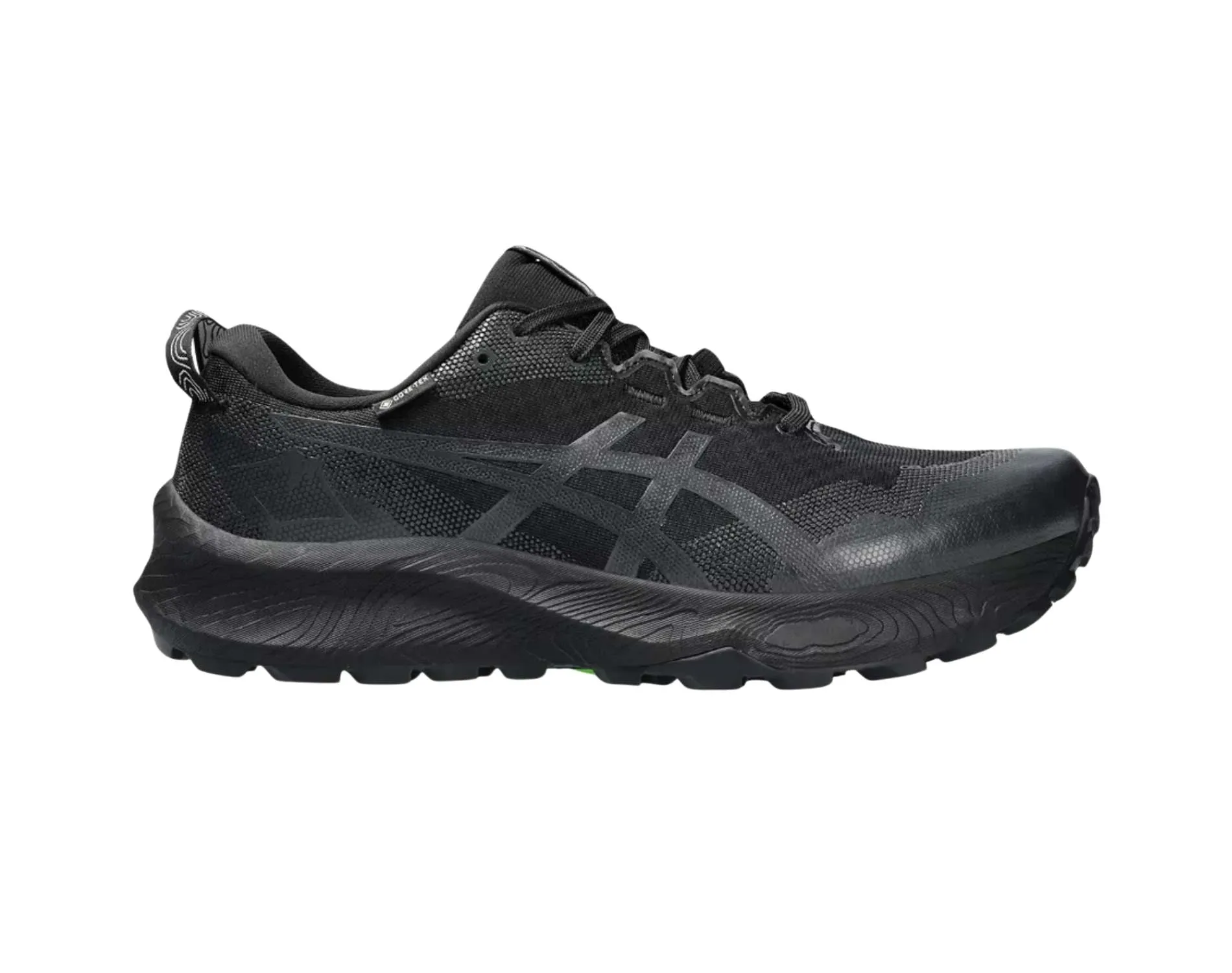 Chaussures Asics Asics Gel-Trabuco 12 GTX Femmes