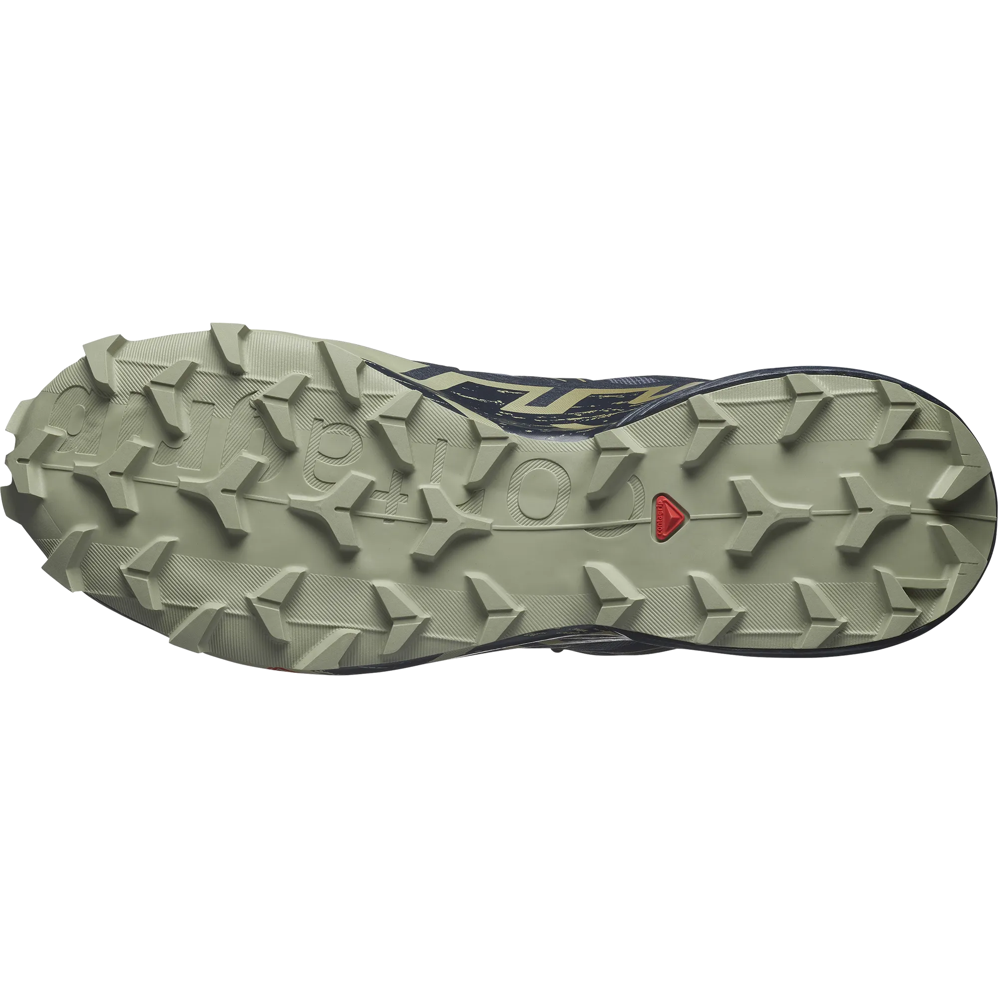 Speedcross 6 GTX - Homme