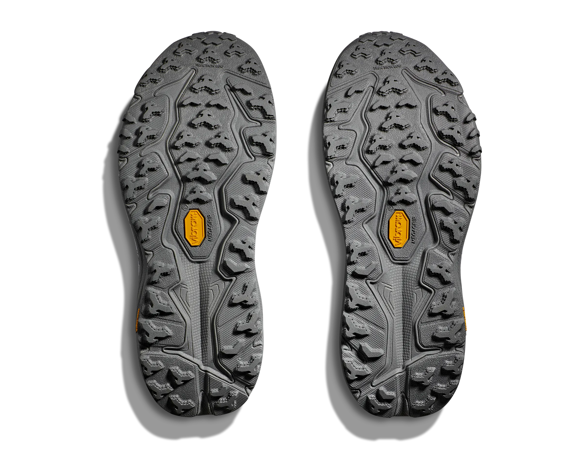 Speedgoat 6 pour Femmes